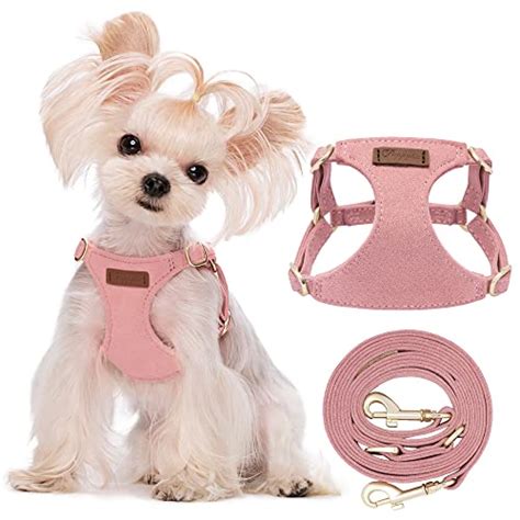 dog harness for toy poodle